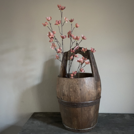 Magnolia stelata brown 'kunst' tak (L 113 cm)