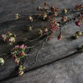 Esdoorn bloesem tak 'kunst' L (L 55 cm)