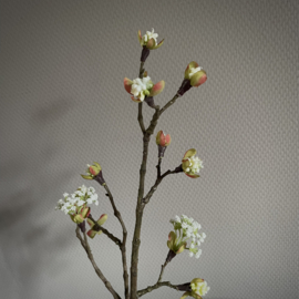 Esdoorn bloesem 'kunst' tak 'Wit' M (L 58 cm)