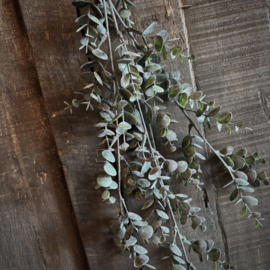 Kunst eucalyptus grijs/groen L  (L 90 cm)