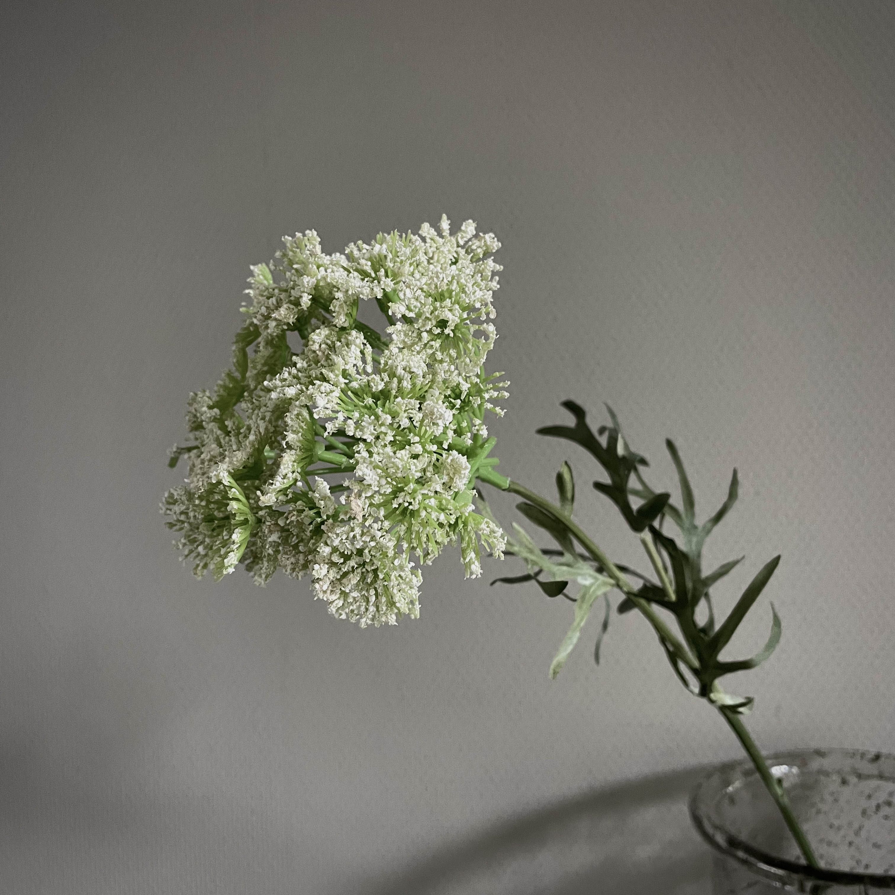 Dille Blossom Spray 'kunst' tak (L 59 cm)