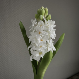 Hyacint wit "kunst" (H 35 cm)