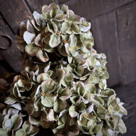 Zijden 'kunst' hortensia  (43 cm)
