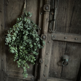 Eucalyptus 'kunst' toef (L 60 cm)