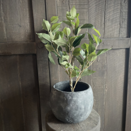 Ficus 'kunstplant' (52 cm)