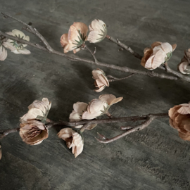 Zijden bloesemtak 'Cappuchino' (120 cm)