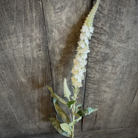 Zijden bloemen tak 'vlinder'  (75 cm)