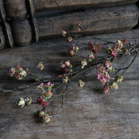 Esdoorn bloesem tak 'kunst' L (L 55 cm)