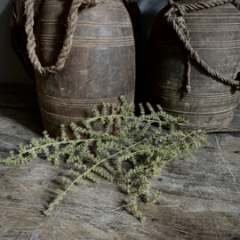 Asparagus 'kunst' tak L (L 100 cm)
