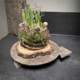 Oude Bajot plank (Nr 17)  (L 34,5 cm)