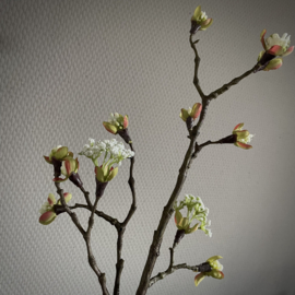 Esdoorn bloesem 'kunst' tak 'Wit' M (L 58 cm)