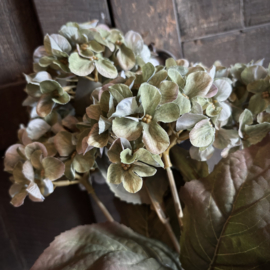 Zijden 'kunst' hortensia  (43 cm)