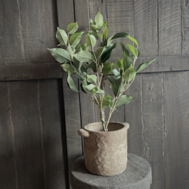 Ficus 'kunstplant' (52 cm)
