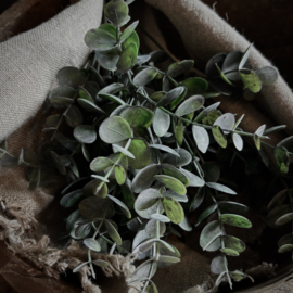 Toef kunst eucalyptus  (L 33 cm)