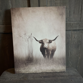 Canvas hooglander (H 50 cm)