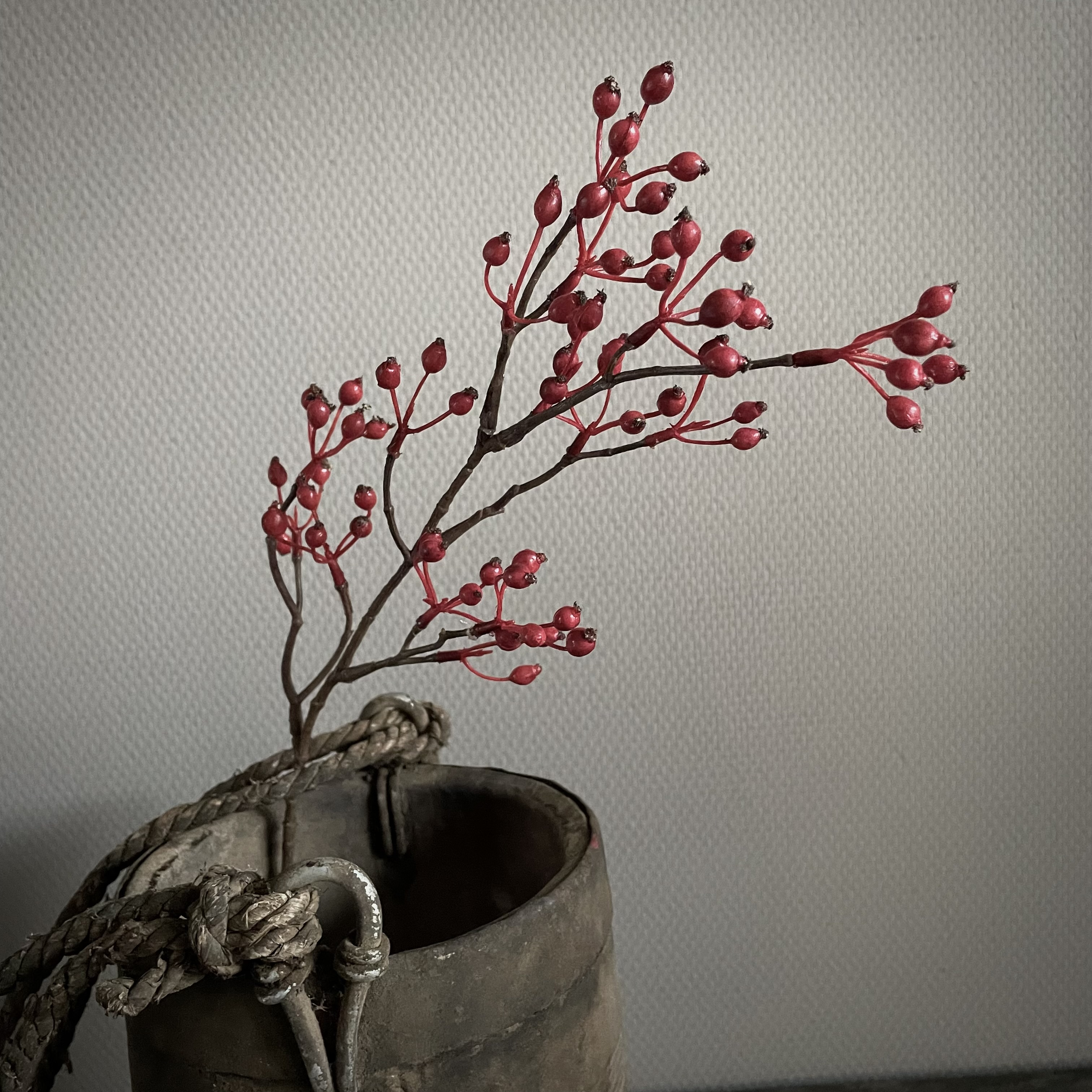 Rozenbottel tak 'kunst' (60 cm)