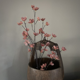 Magnolia stelata brown 'kunst' tak (L 113 cm)