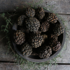 'Ata' fruit  (250 gram)