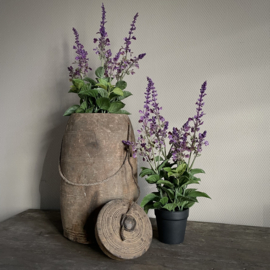 Lavendel in pot 'kunst' (H 45 cm)