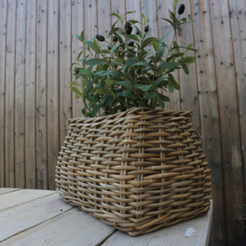 Rattan mand (Br 48 cm)