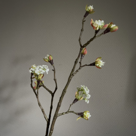 Esdoorn bloesem 'kunst' tak 'Wit' M (L 58 cm)