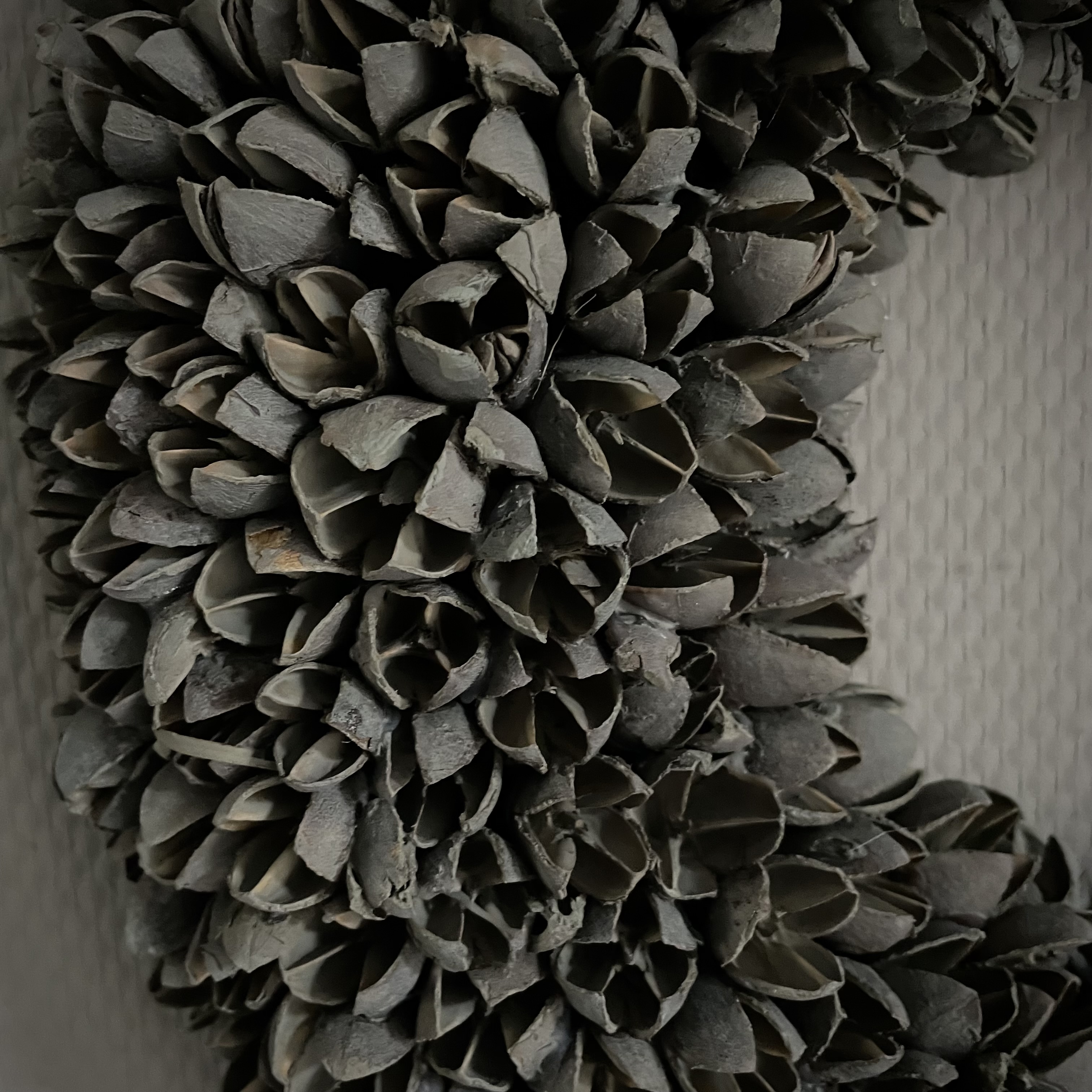 Krans Bakuli 'Grey wash'  (Ø 40 cm)