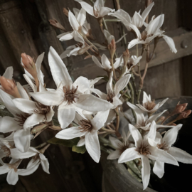 Zijden bloemen tak 'gebroken wit'  (95 cm)