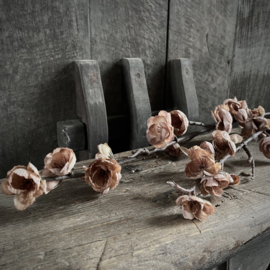 Zijden bloesemtak 'Cappuchino' (120 cm)