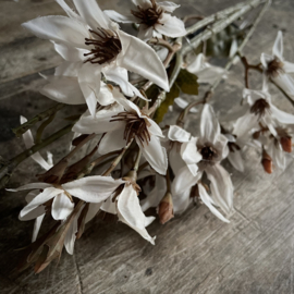 Zijden bloemen tak 'gebroken wit'  (95 cm)