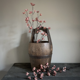 Magnolia stelata brown 'kunst' tak (L 113 cm)