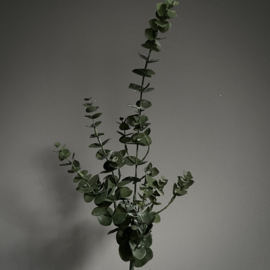 Eucalyptus tak 'kunst' (L 83 cm)