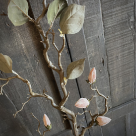 Zijden magnolia tak  (100 cm)