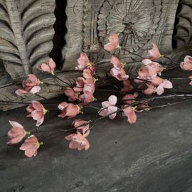 Magnolia stelata brown 'kunst' tak (L 113 cm)