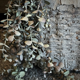 Eucalyptus 'kunst' toef (L 95 cm)
