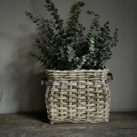Eucalyptus tak 'kunst' (L 83 cm)