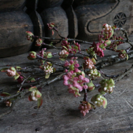 Esdoorn bloesem tak 'kunst' L (L 55 cm)