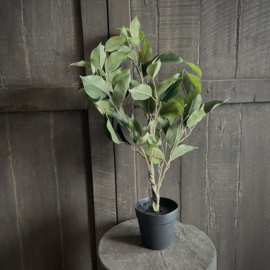 Ficus 'kunstplant' (52 cm)