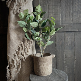 Ficus 'kunstplant' (52 cm)