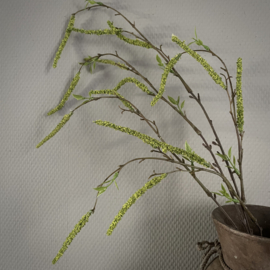 Salix tak 'kunst' (L 87 cm)