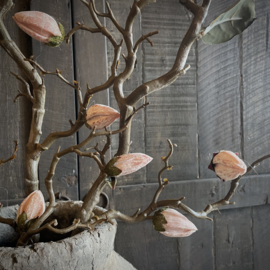Zijden magnolia tak  (100 cm)