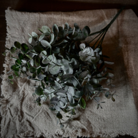 Toef kunst eucalyptus  (L 33 cm)