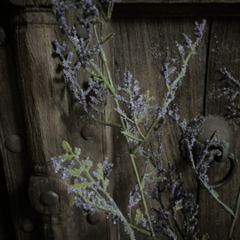 Limonium kunst tak (90 cm)