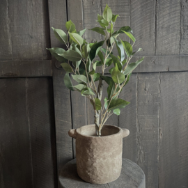 Ficus 'kunstplant' (52 cm)