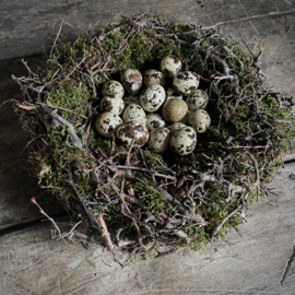 Bonsai mos nest (Ø30 cm)