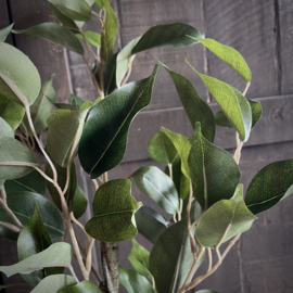 Ficus 'kunstplant' (52 cm)