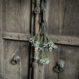 Gipskruid kunst tak (64 cm)