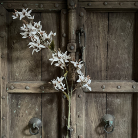 Zijden bloemen tak 'gebroken wit'  (95 cm)