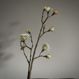 Esdoorn bloesem 'kunst' tak 'Wit' M (L 58 cm)