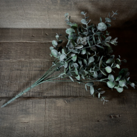 Toef kunst eucalyptus  (L 33 cm)