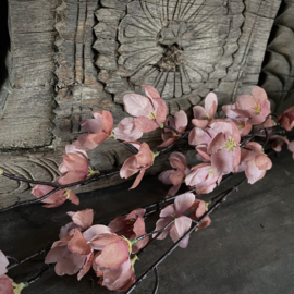 Magnolia stelata brown 'kunst' tak (L 113 cm)